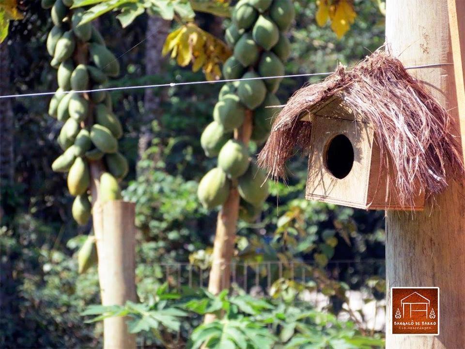 Pousada Bangalo De Barro Paraty Zewnętrze zdjęcie